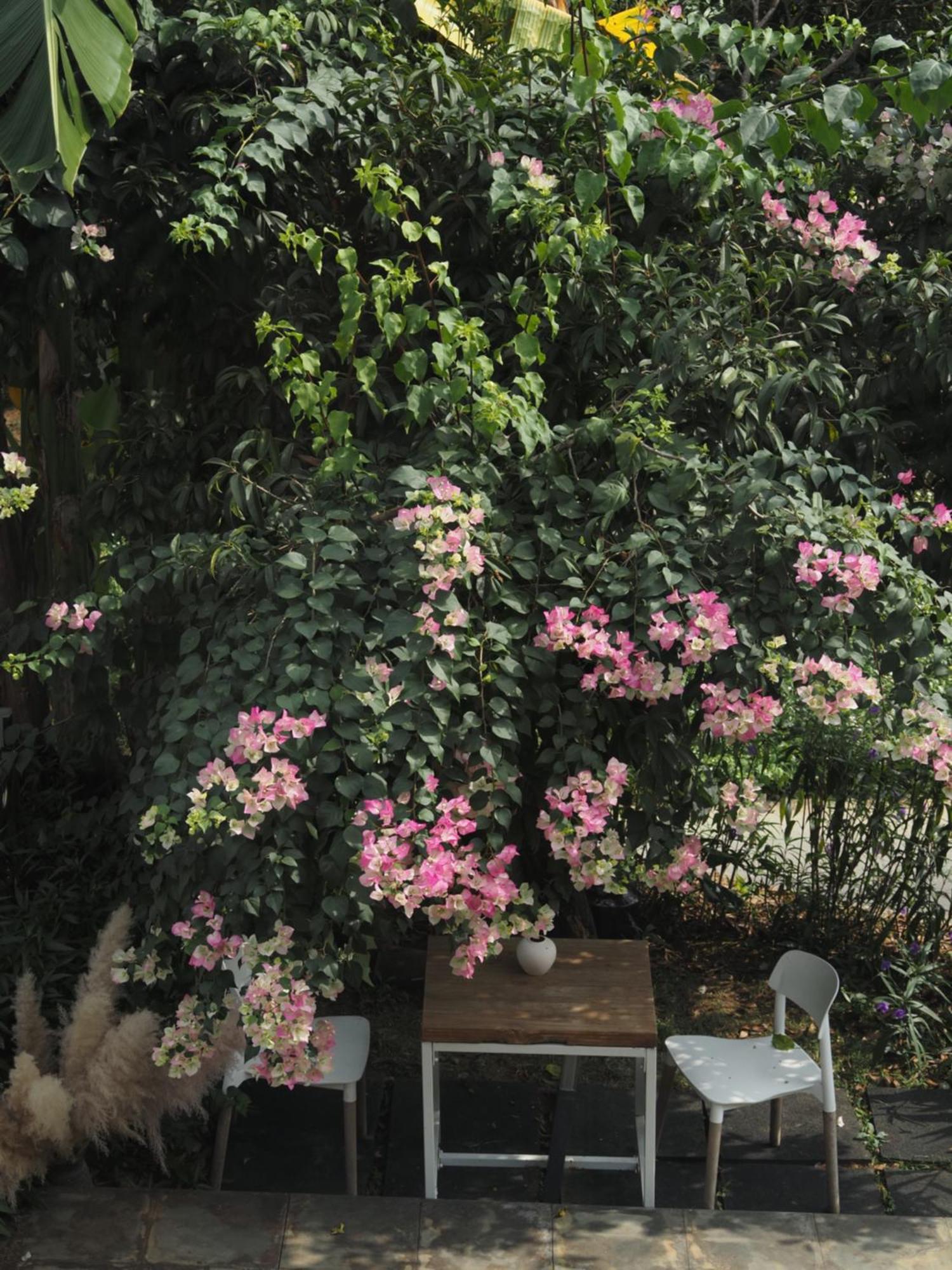 Yangshuo Hillside Homestay Εξωτερικό φωτογραφία