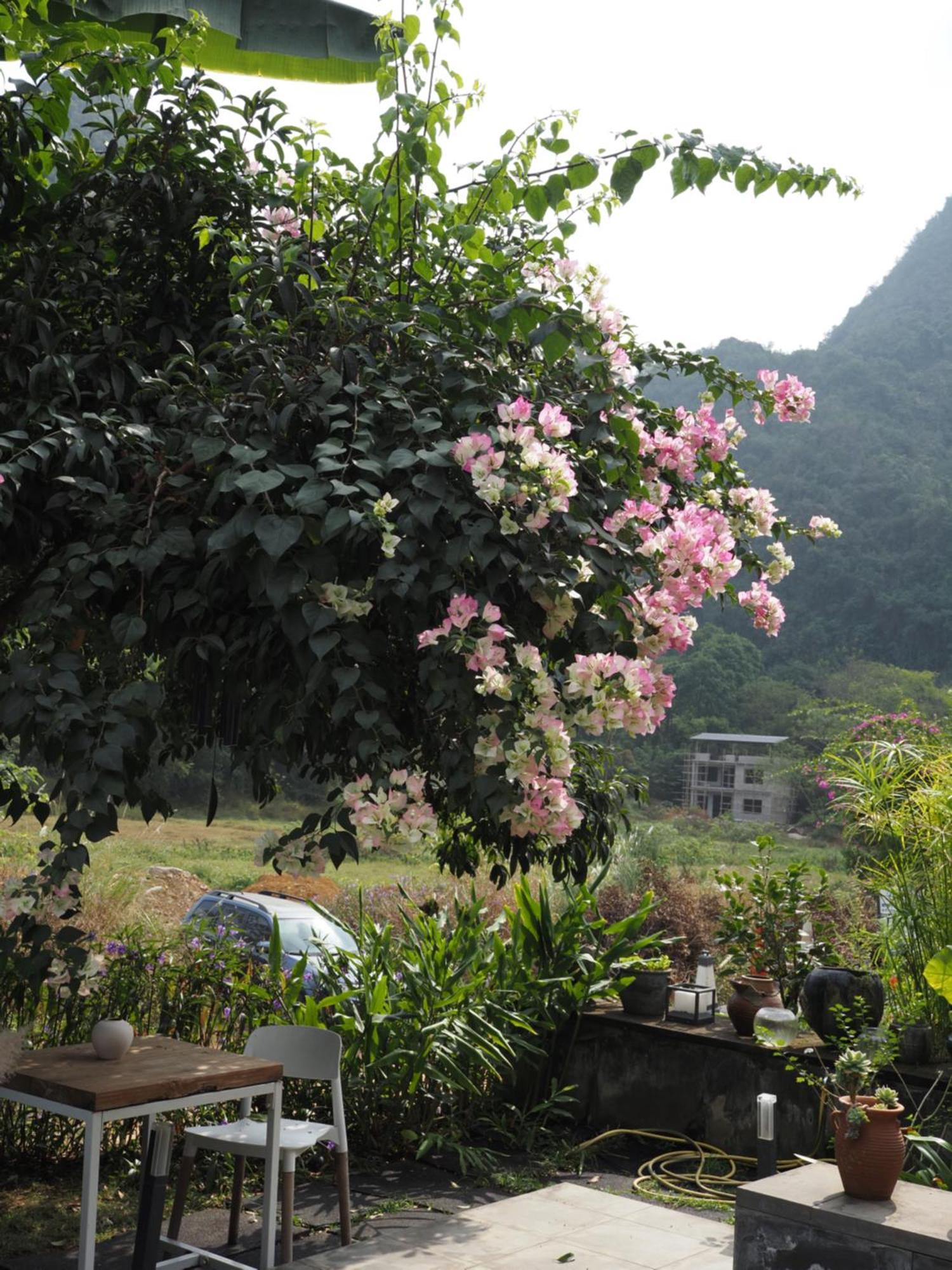Yangshuo Hillside Homestay Εξωτερικό φωτογραφία
