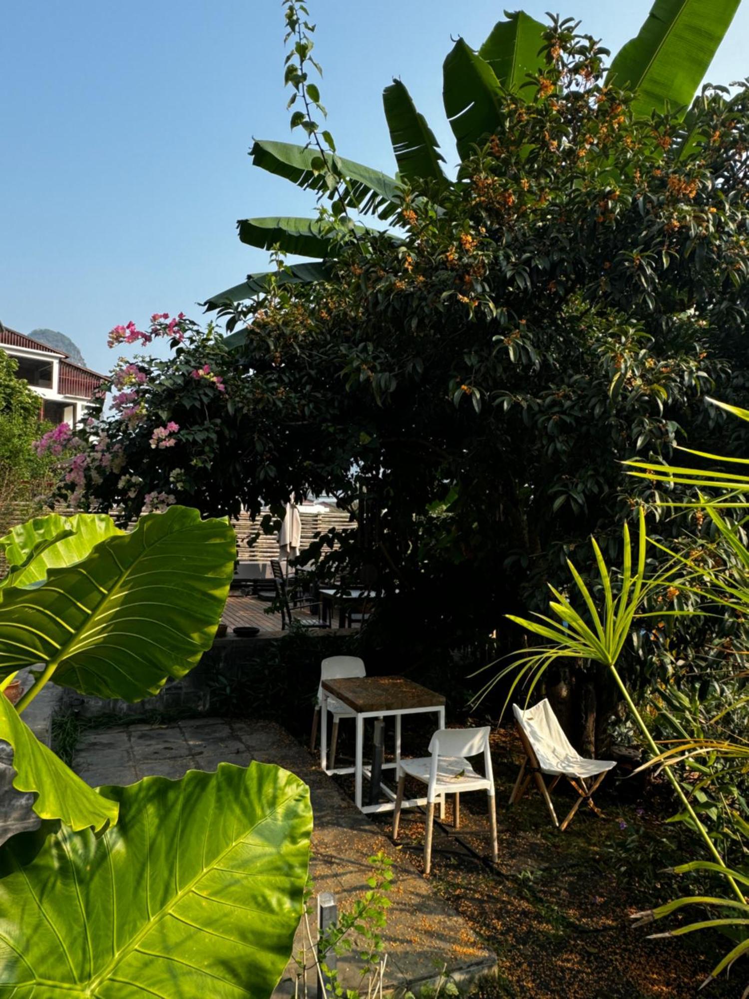 Yangshuo Hillside Homestay Εξωτερικό φωτογραφία