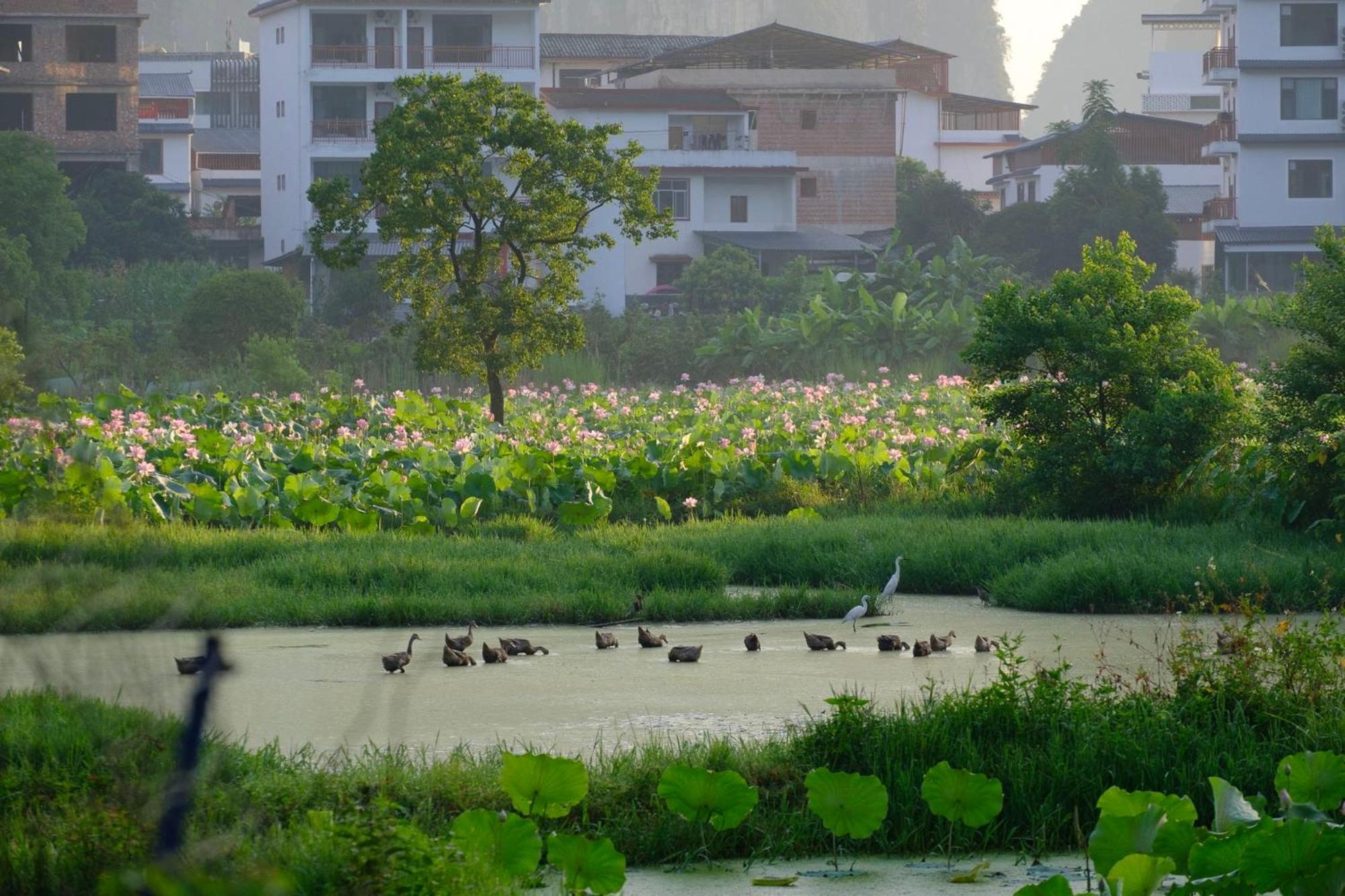Yangshuo Hillside Homestay Εξωτερικό φωτογραφία
