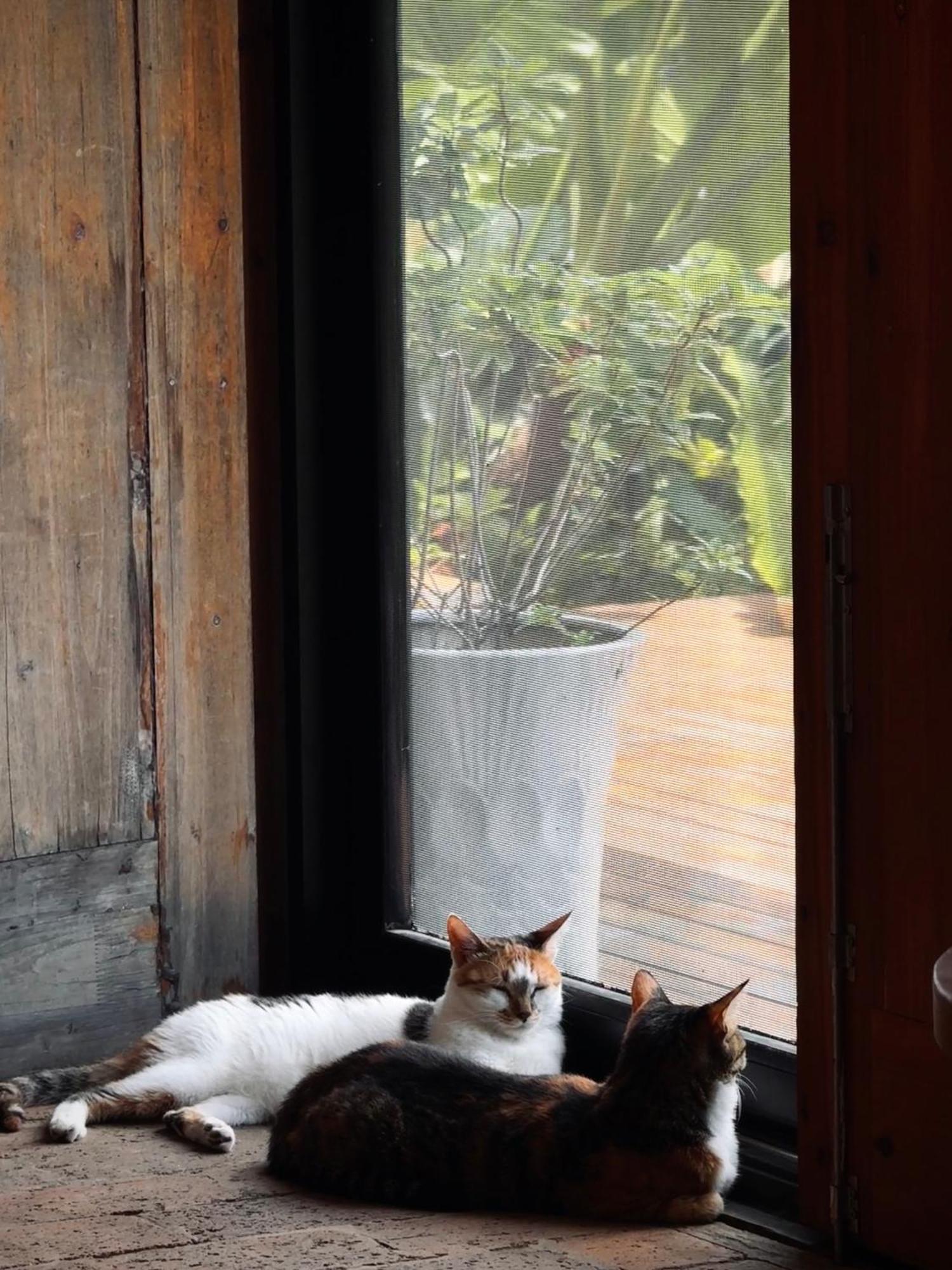 Yangshuo Hillside Homestay Εξωτερικό φωτογραφία
