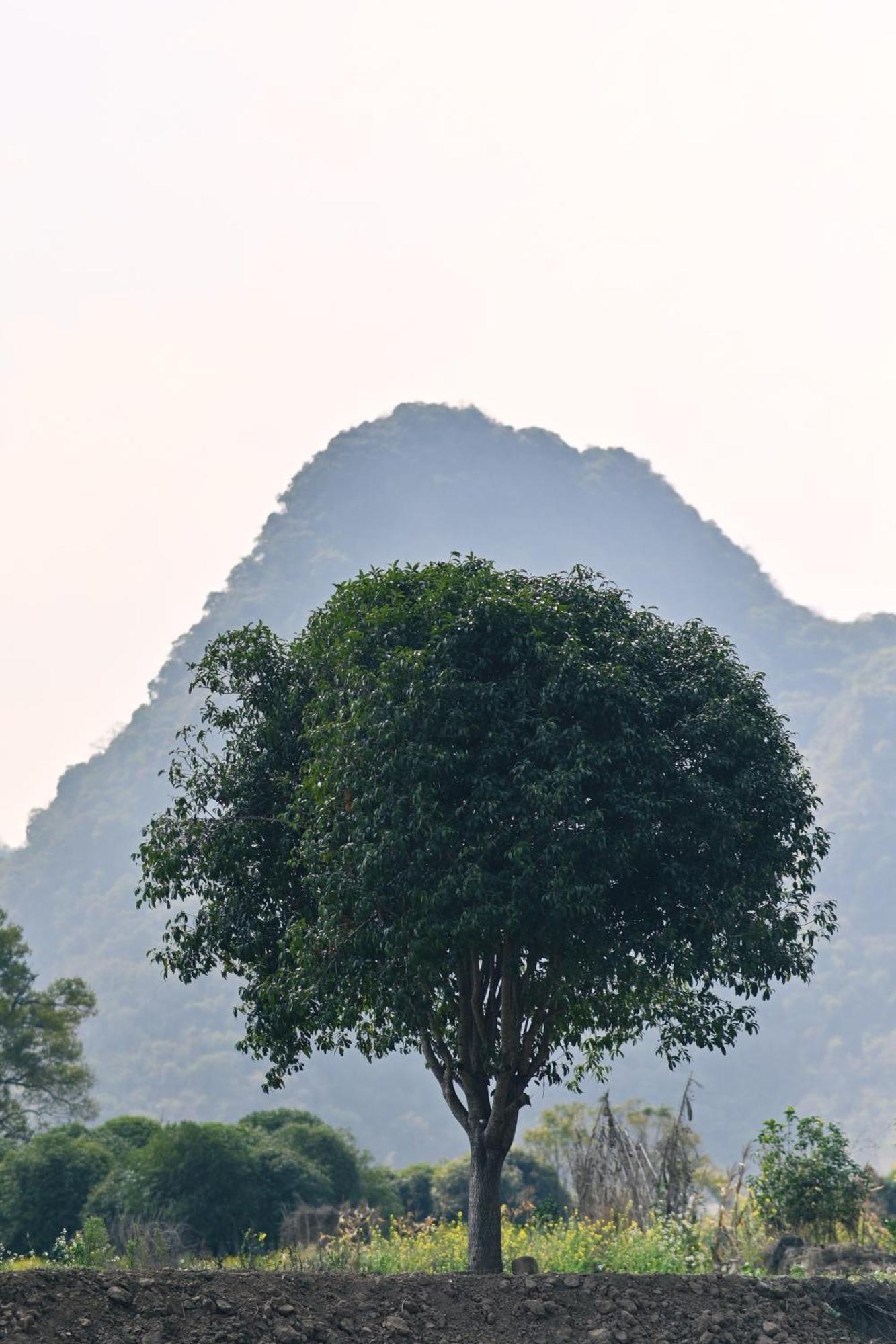Yangshuo Hillside Homestay Εξωτερικό φωτογραφία