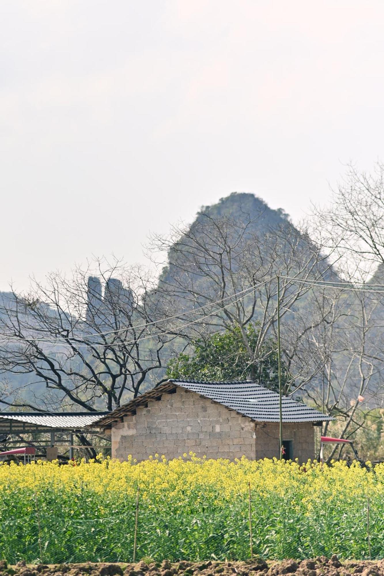 Yangshuo Hillside Homestay Εξωτερικό φωτογραφία